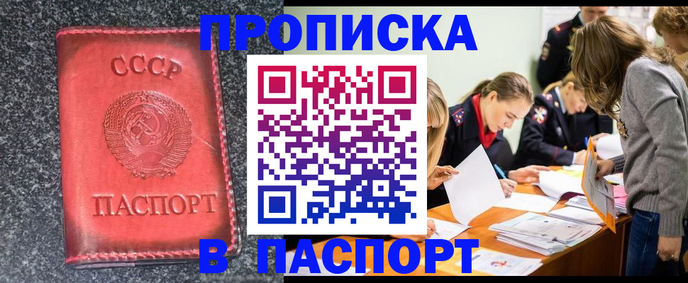 прописка для школы в Камчатском крае